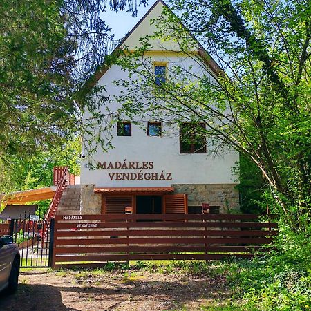 Madarles Vendeghaz Villa Abaliget Kültér fotó
